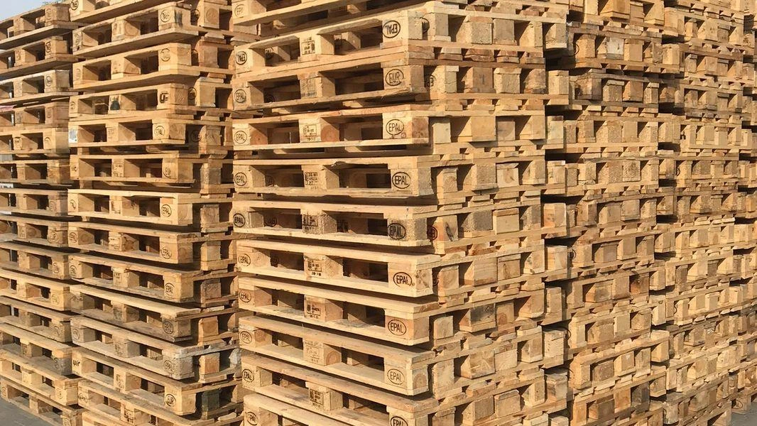Prowadzimy skup palet drewnianych w Radomiu